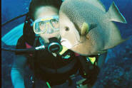 underwater photo moray eel SCUBA 
